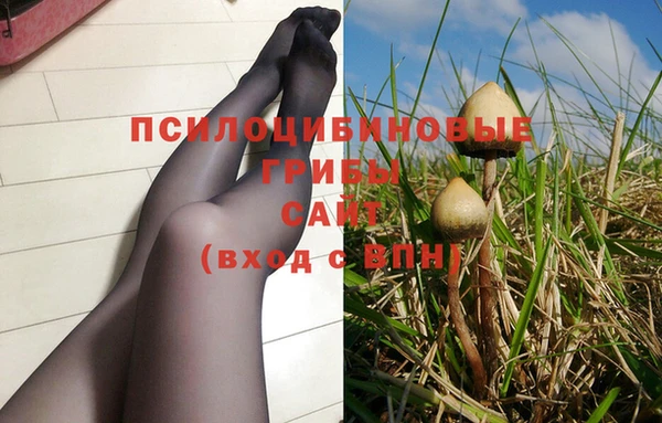 первитин Алексеевка