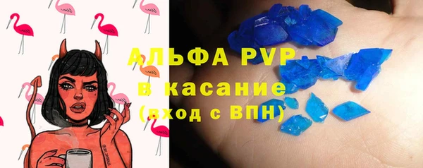 стафф Алзамай