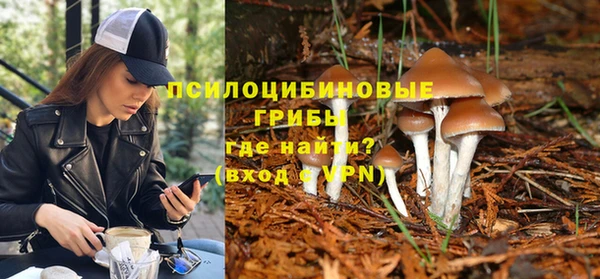 первитин Алексеевка