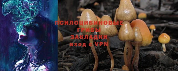 сатива Абдулино
